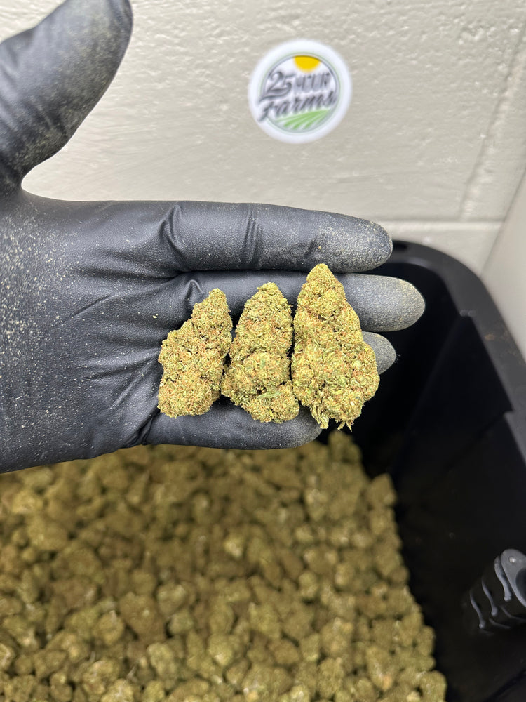 
                  
                    Load image into Gallery viewer, Cherry Limeade CBD Hemp Flower
                  
                
