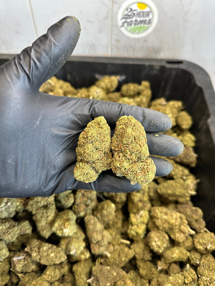 
                  
                    Load image into Gallery viewer, Bubba 59 CBD Hemp Flower
                  
                