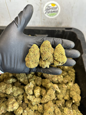 
                  
                    Load image into Gallery viewer, Bubba 59 CBD Hemp Flower
                  
                