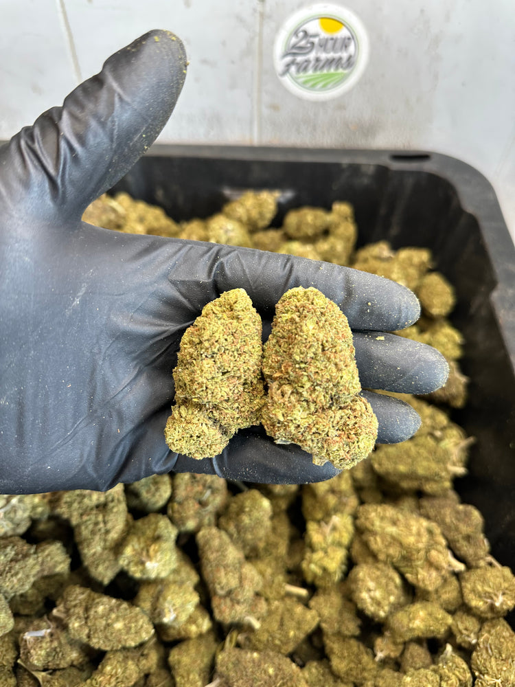 
                  
                    Load image into Gallery viewer, Bubba 59 CBD Hemp Flower
                  
                