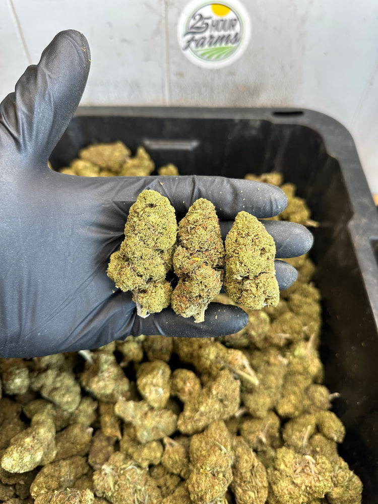 
                  
                    Load image into Gallery viewer, Bubba 59 CBD Hemp Flower
                  
                