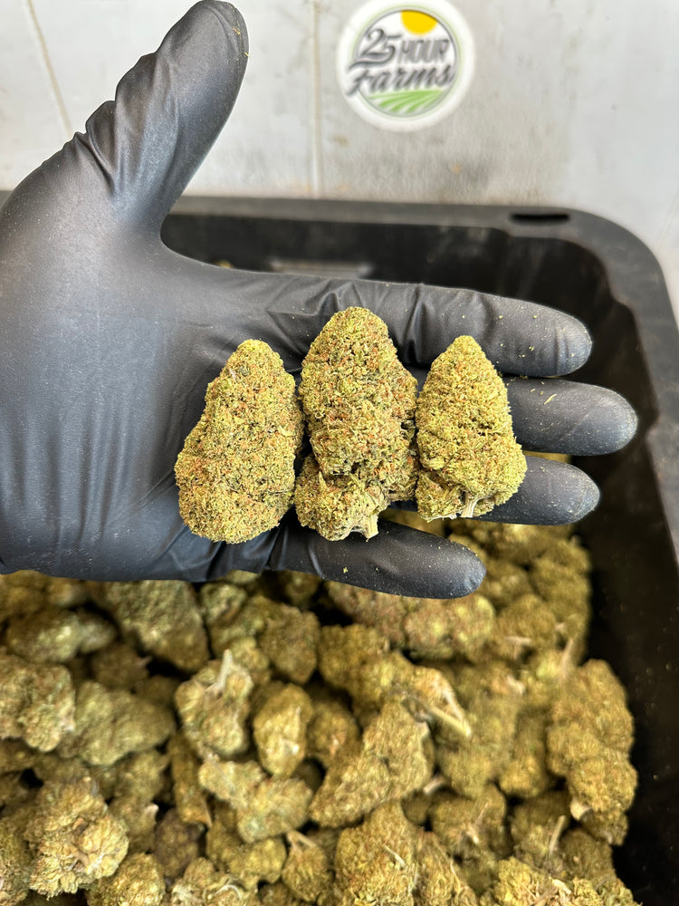 
                  
                    Load image into Gallery viewer, Bubba 59 CBD Hemp Flower
                  
                