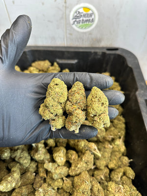 
                  
                    Load image into Gallery viewer, Bubba 59 CBD Hemp Flower
                  
                