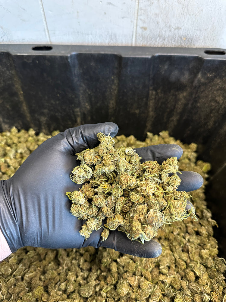 
                  
                    Load image into Gallery viewer, Maui Wowie Hemp Flower Smalls
                  
                