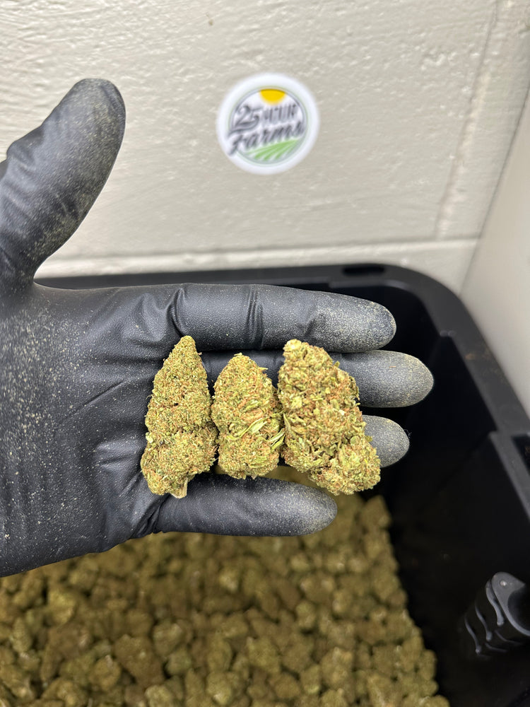 
                  
                    Load image into Gallery viewer, Cherry Limeade CBD Hemp Flower
                  
                