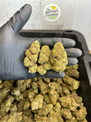 
                  
                    Load image into Gallery viewer, Bubba 59 CBD Hemp Flower
                  
                