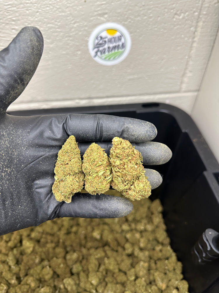 
                  
                    Load image into Gallery viewer, Cherry Limeade CBD Hemp Flower
                  
                