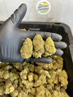 
                  
                    Load image into Gallery viewer, Bubba 59 CBD Hemp Flower
                  
                