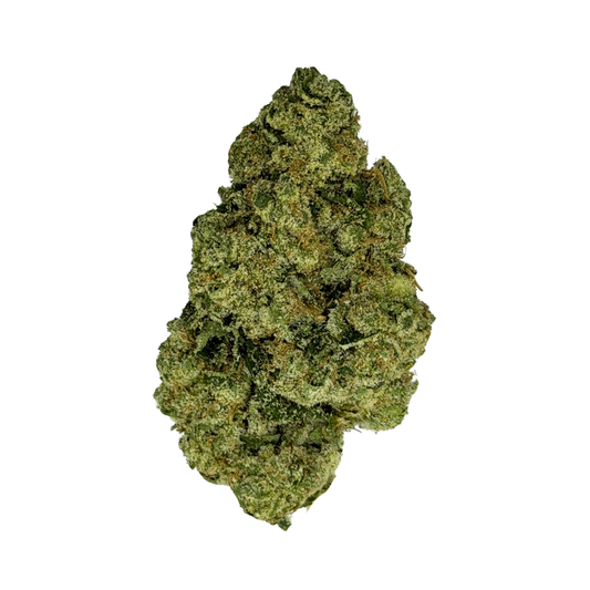 Motorbreath THCa Flower