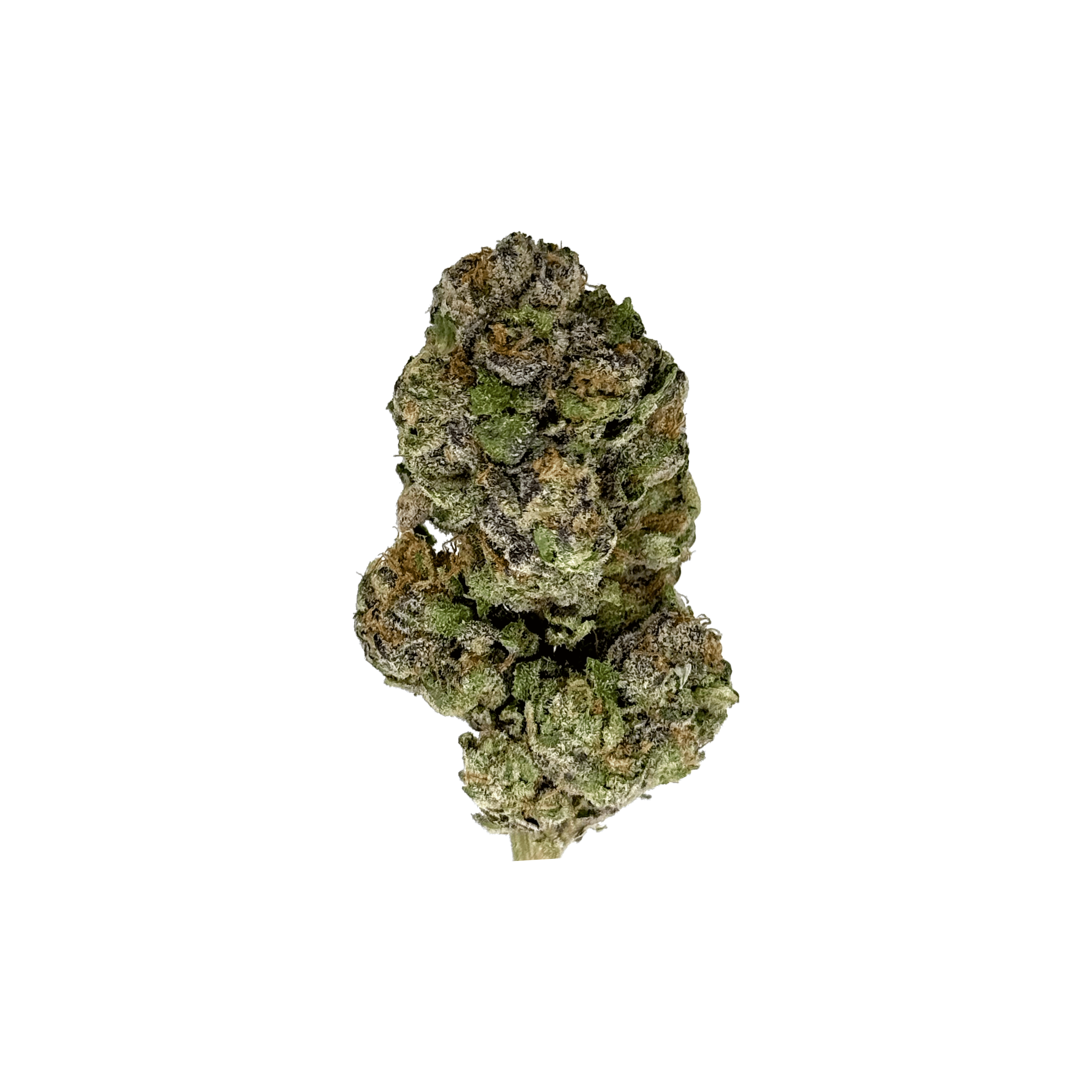 White Gushers THCa Flower Indoor Smalls