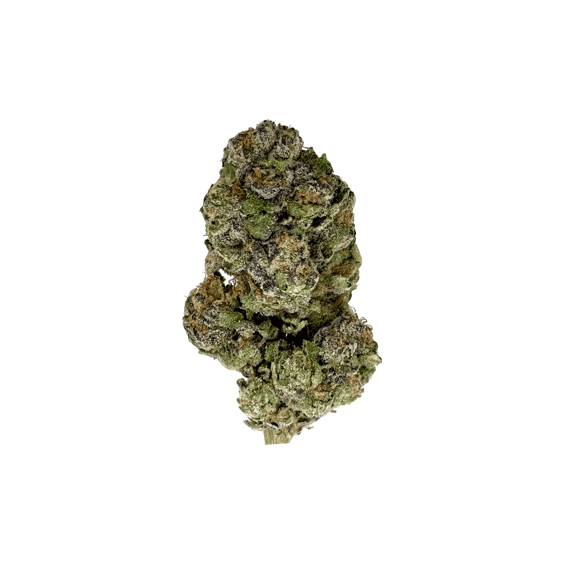 Order Super Boof THCa Flower By 25 Hour Farms