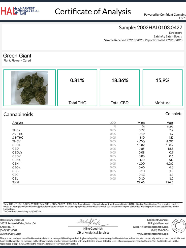 
                  
                    Load image into Gallery viewer, Green Giant CBD Flower
                  
                