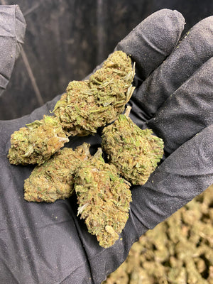 
                  
                    Load image into Gallery viewer, Siskyou Gold CBD Flower
                  
                