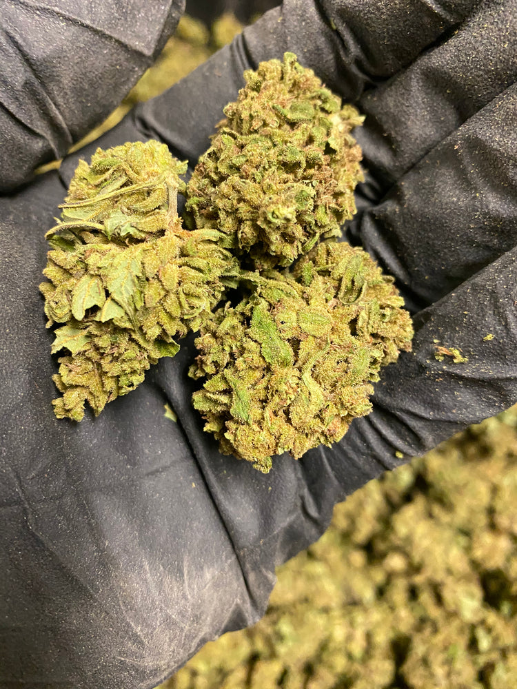 
                  
                    Load image into Gallery viewer, Abicus CBD Flower
                  
                