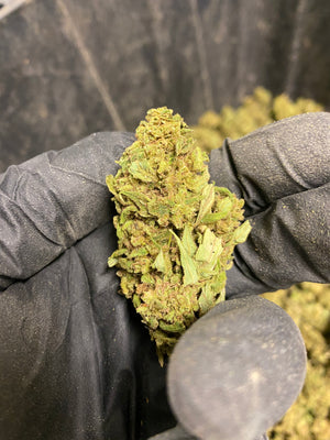 
                  
                    Load image into Gallery viewer, Abicus CBD Flower
                  
                