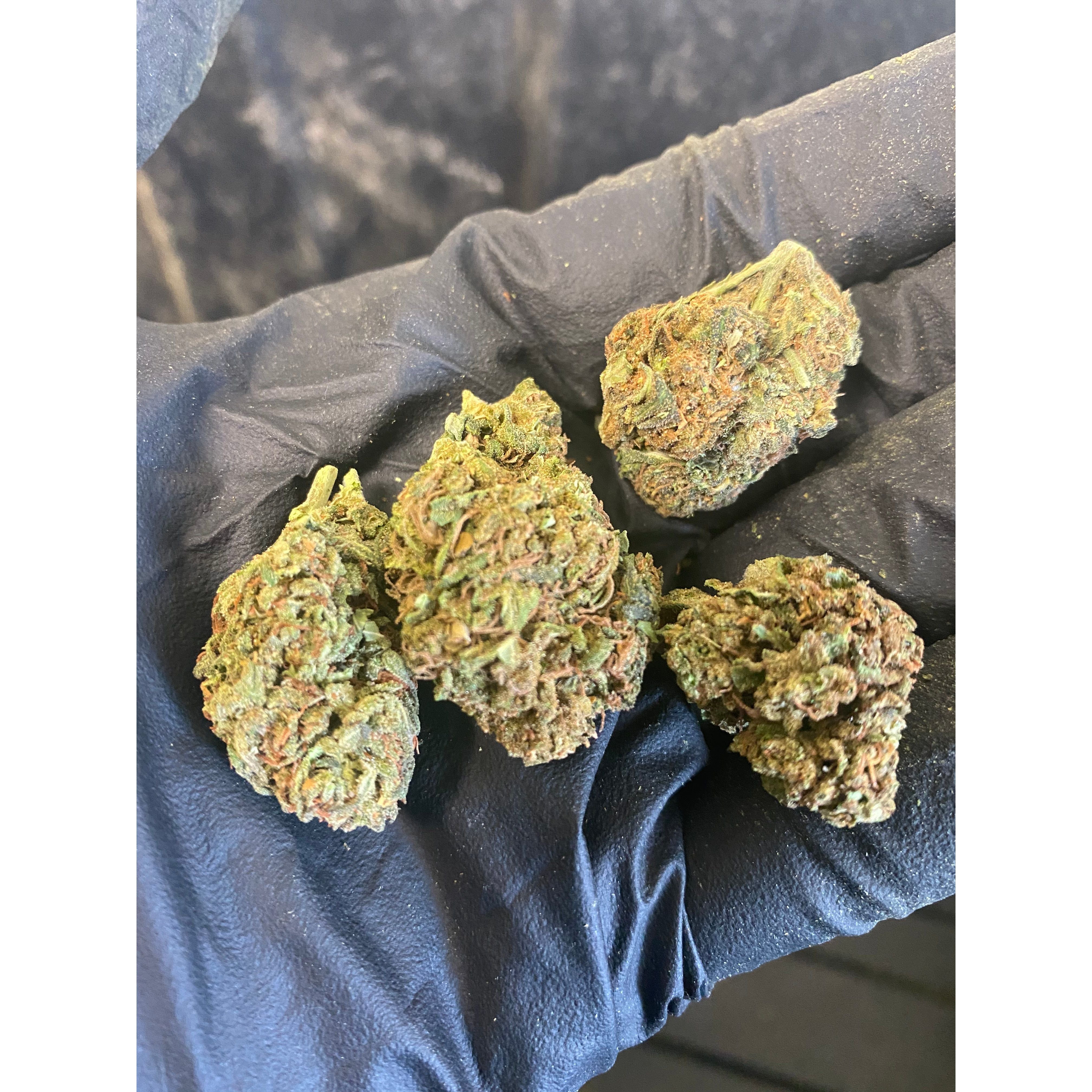 Tokyo CBD Hemp Flower