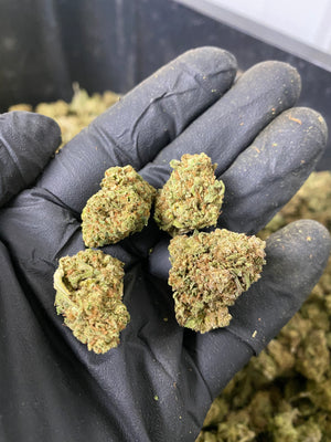 
                  
                    Load image into Gallery viewer, Frosted Lime CBD Flower
                  
                