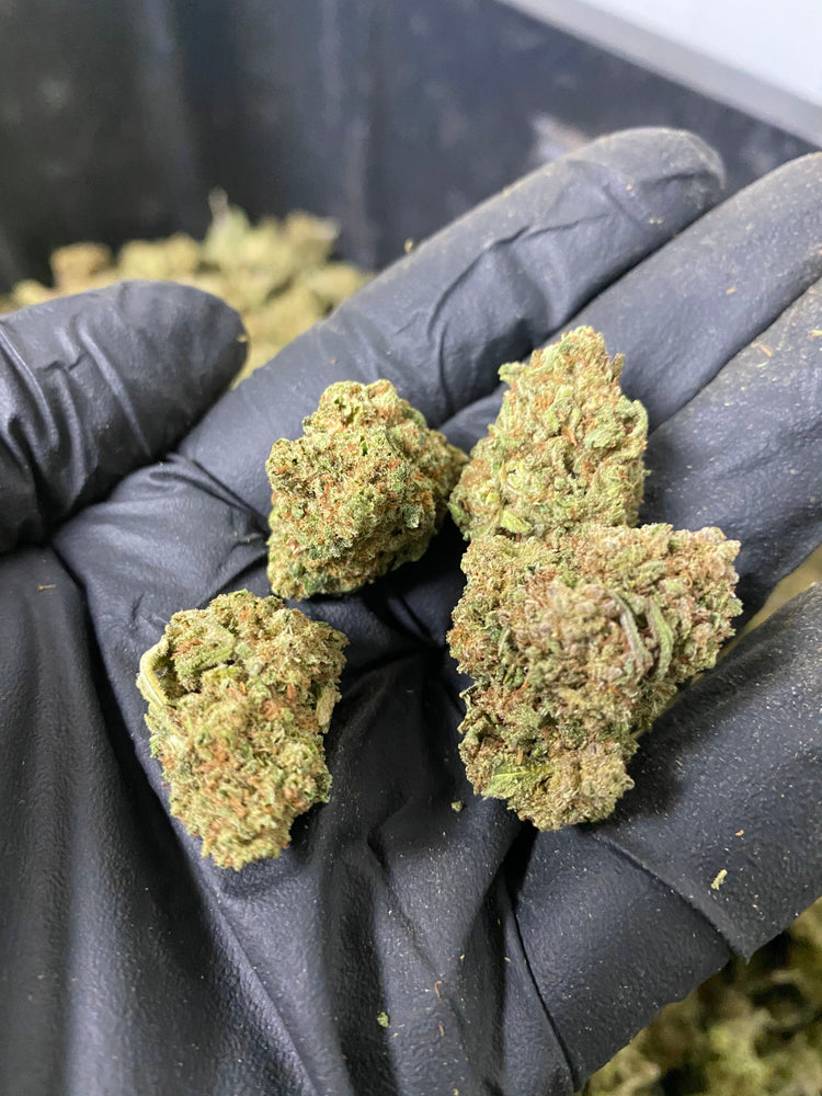 
                  
                    Load image into Gallery viewer, Frosted Lime CBD Flower
                  
                