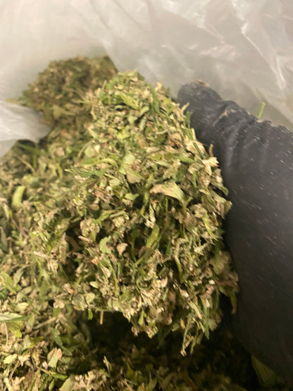 CBG Pound of Trim/Shake