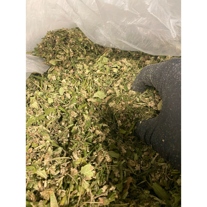 Hemp Trim and Shake - Multiple Strains Available