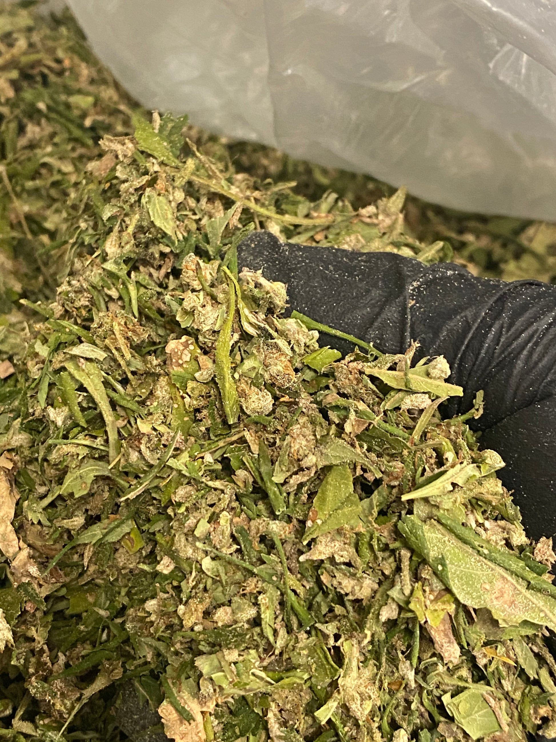 CBG Pound of Trim 