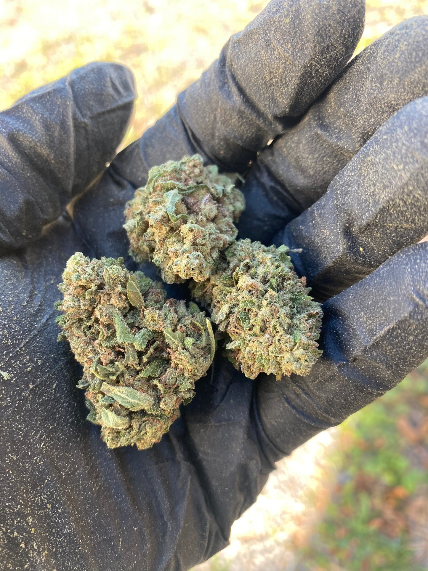 Frosted Kush CBD Flower