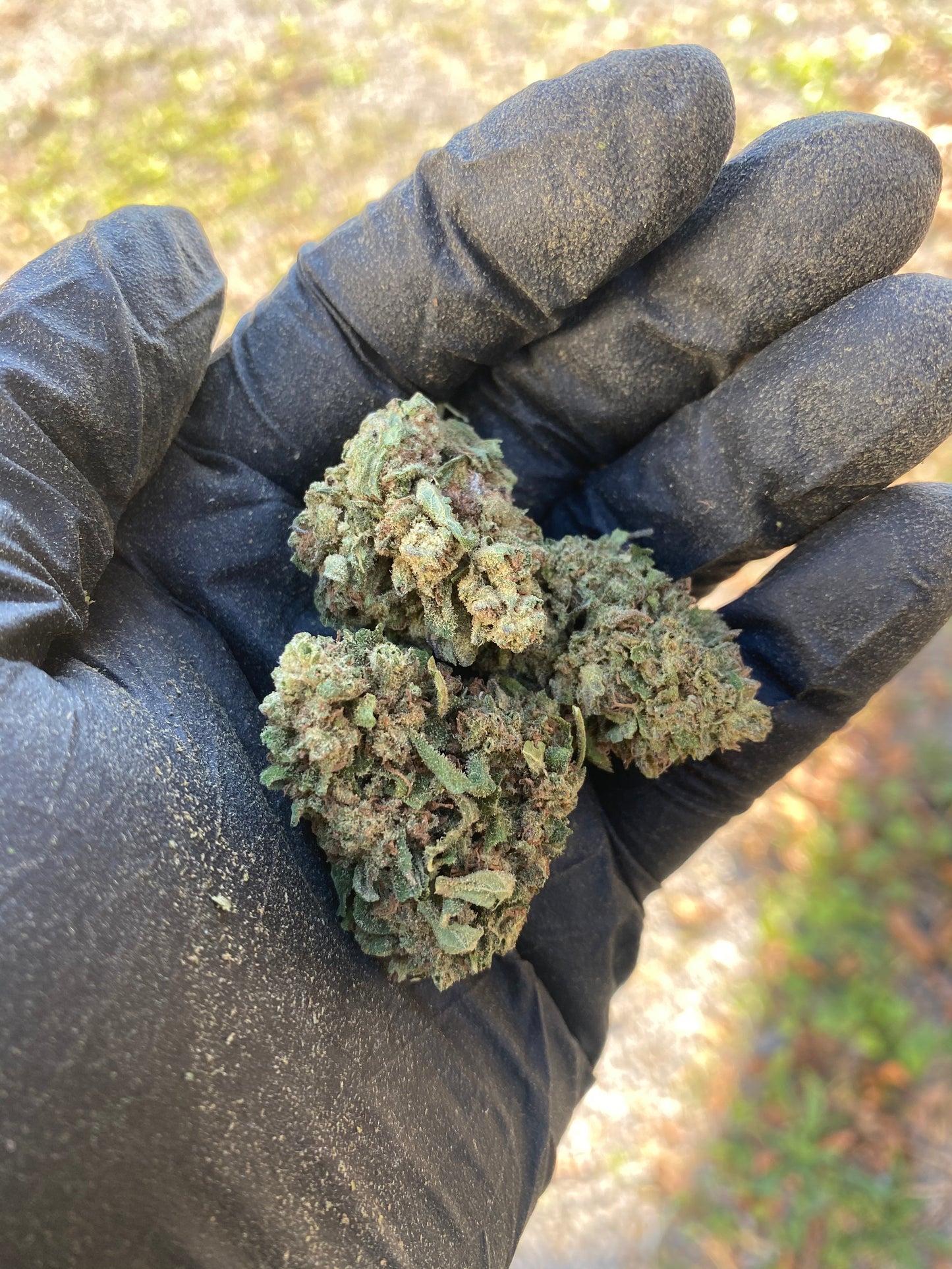 Frosted Kush CBD Flower