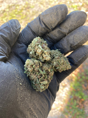 
                  
                    Load image into Gallery viewer, Frosted Kush CBD Flower
                  
                