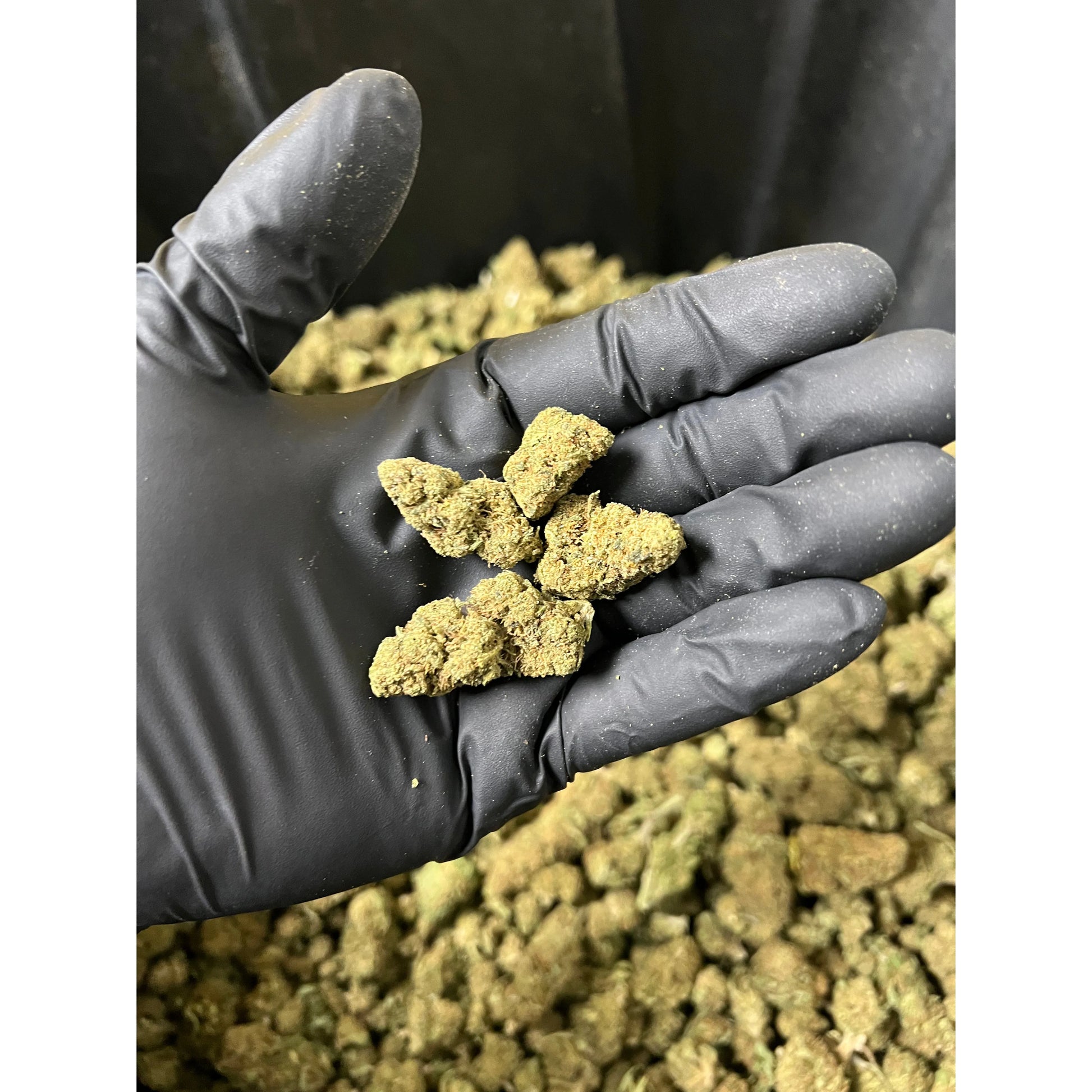 Strawberry Cough Smalls