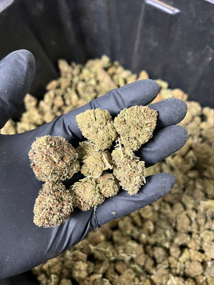 
                  
                    Load image into Gallery viewer, The Wife Hemp Flower
                  
                