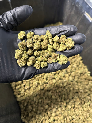 
                  
                    Load image into Gallery viewer, Strawberry Cough Hemp Flower Smalls
                  
                