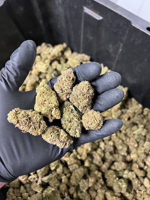 
                  
                    Load image into Gallery viewer, The Wife Hemp Flower
                  
                
