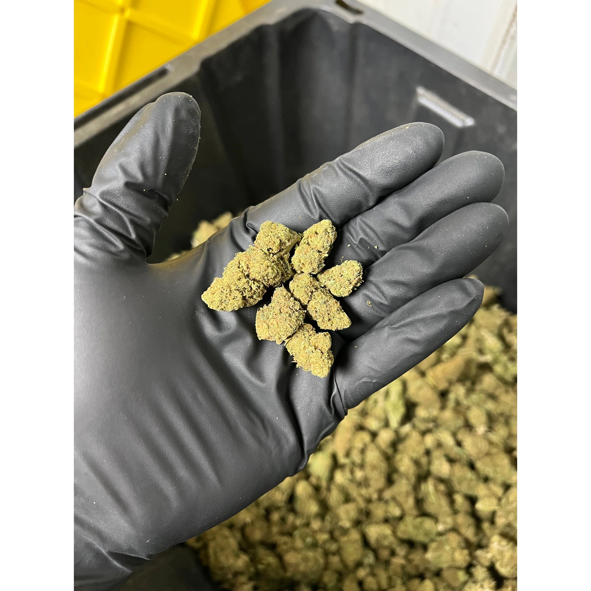 Strawberry Cough Smalls