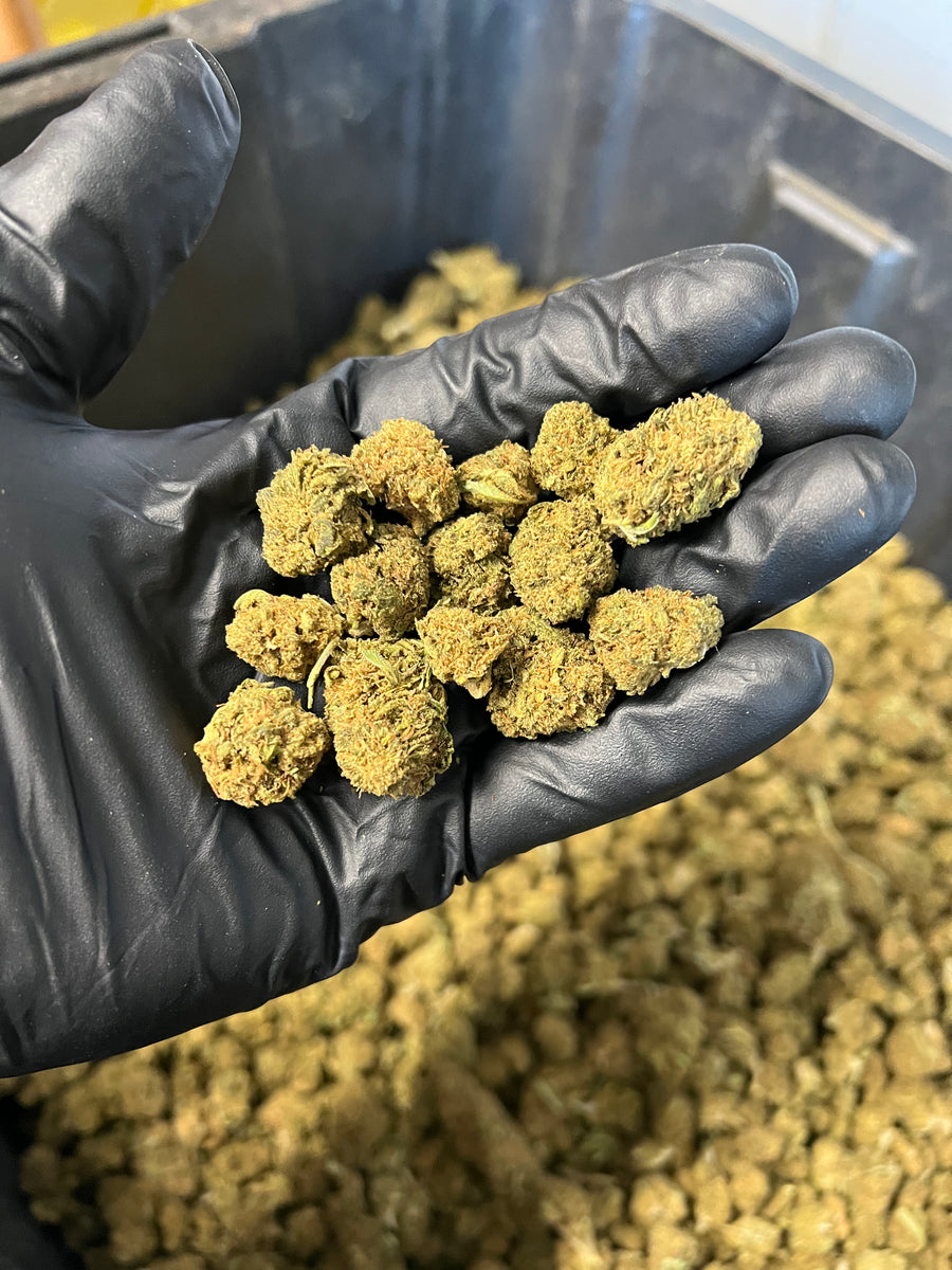 Sweet Diesel CBD Hemp Flower Smalls & 25 Hour Farms