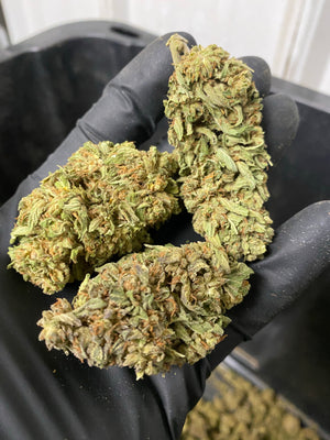 
                  
                    Load image into Gallery viewer, Bubba Q Hemp Flower
                  
                