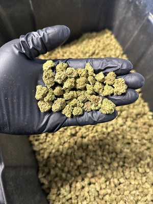 
                  
                    Load image into Gallery viewer, Strawberry Cough Hemp Flower Smalls
                  
                