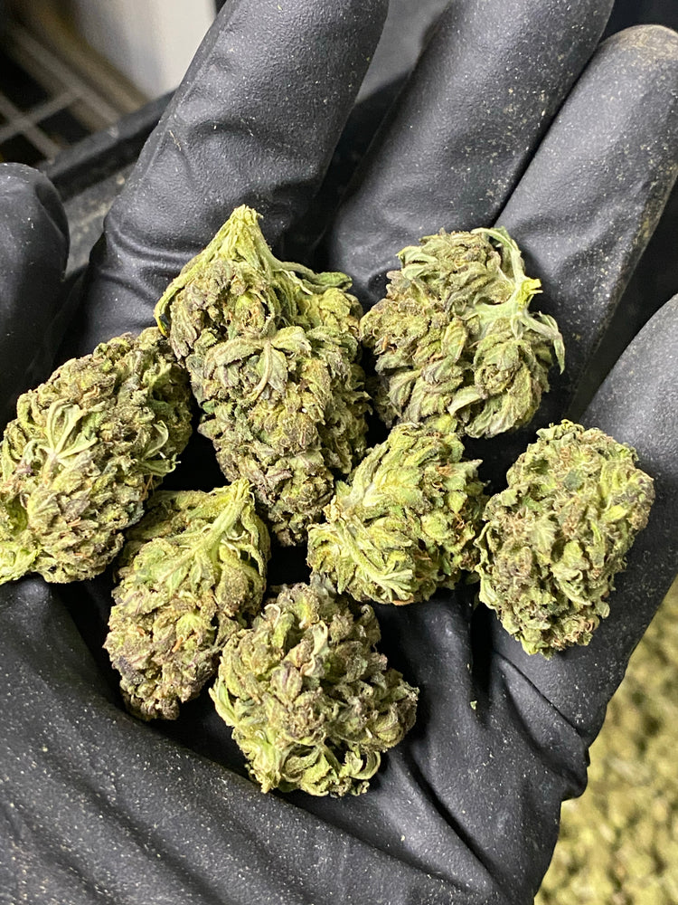 
                  
                    Load image into Gallery viewer, Frosted Lime CBD Hemp Flower
                  
                