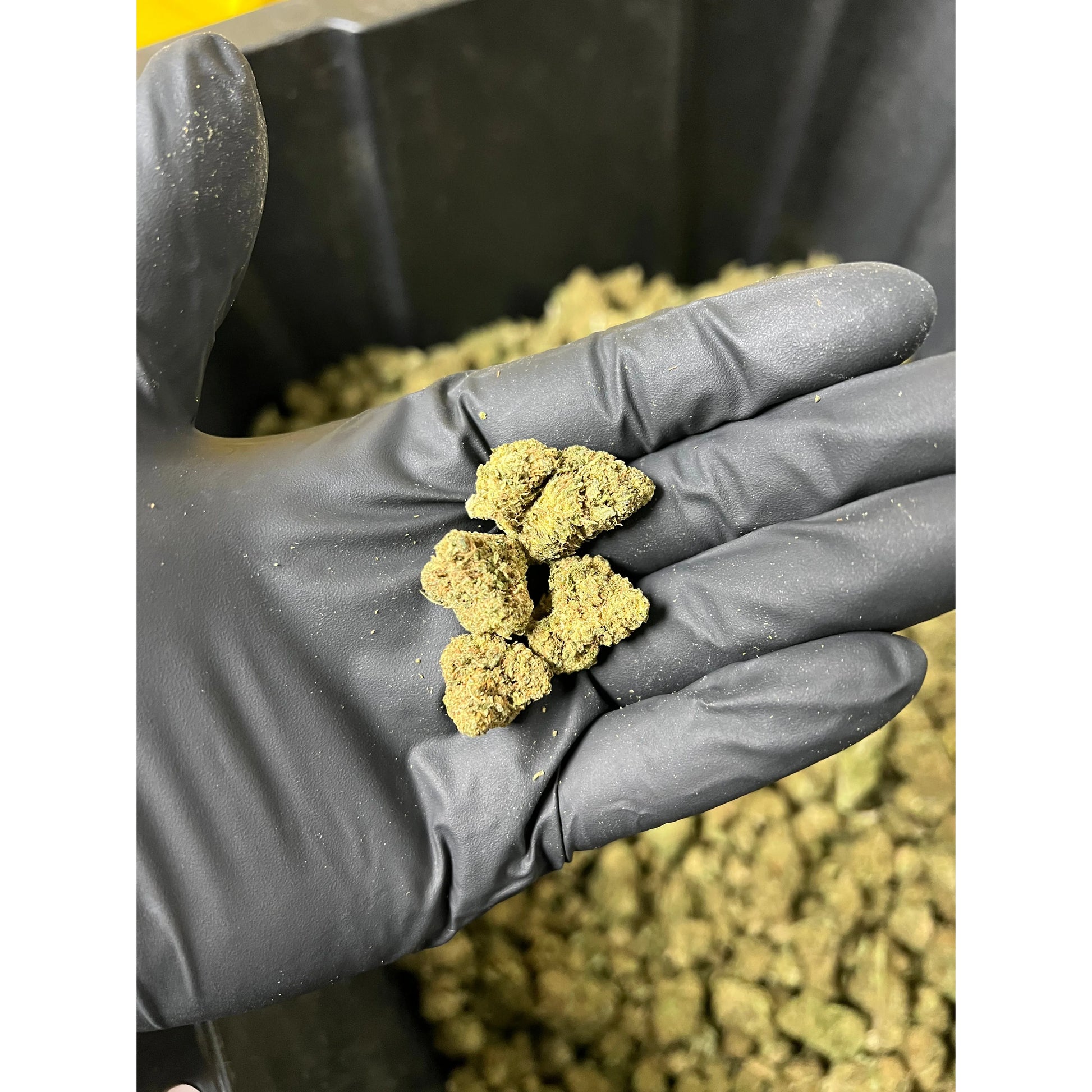 Strawberry Cough Smalls
