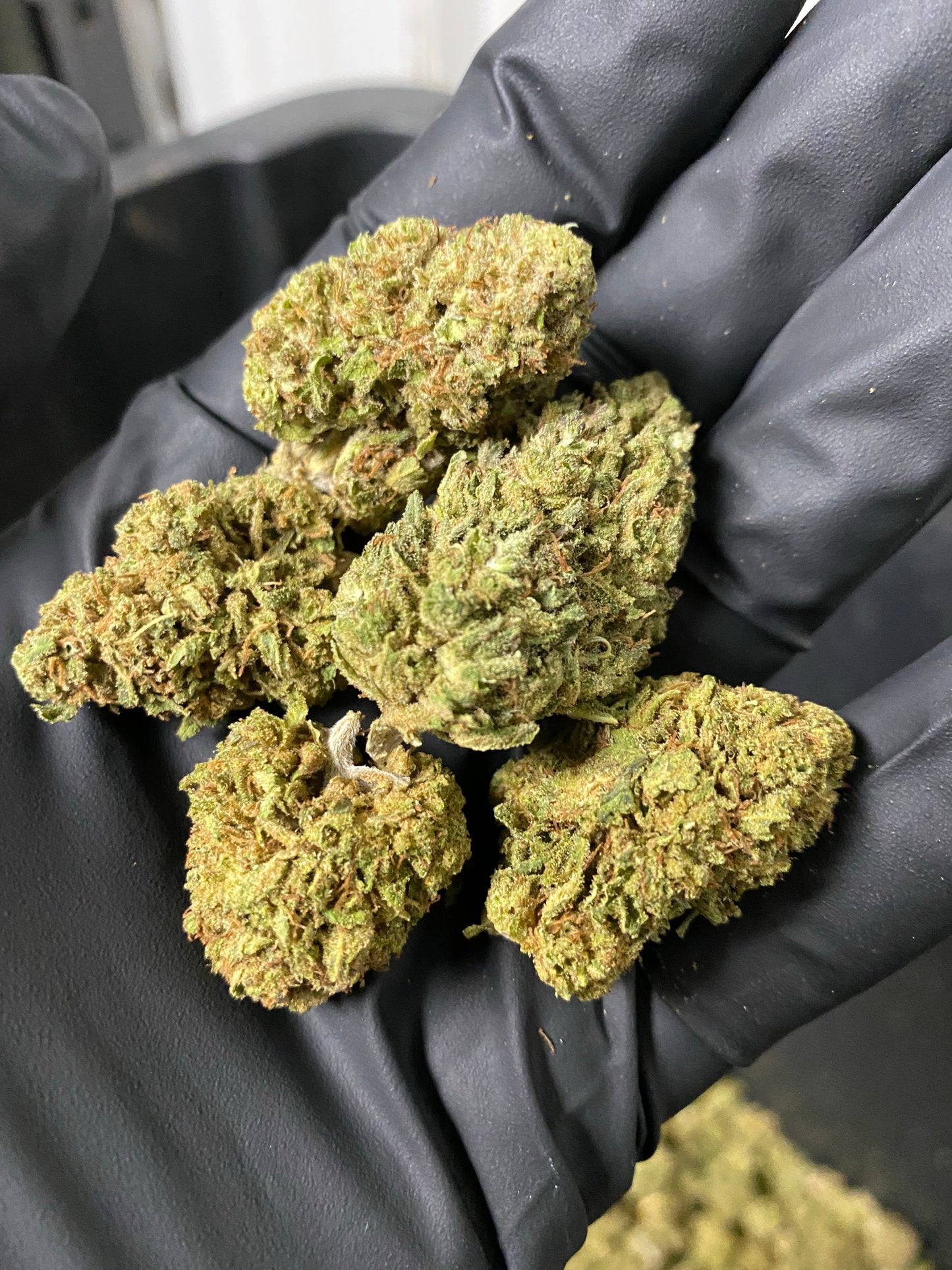 Lifter CBD Hemp Flower