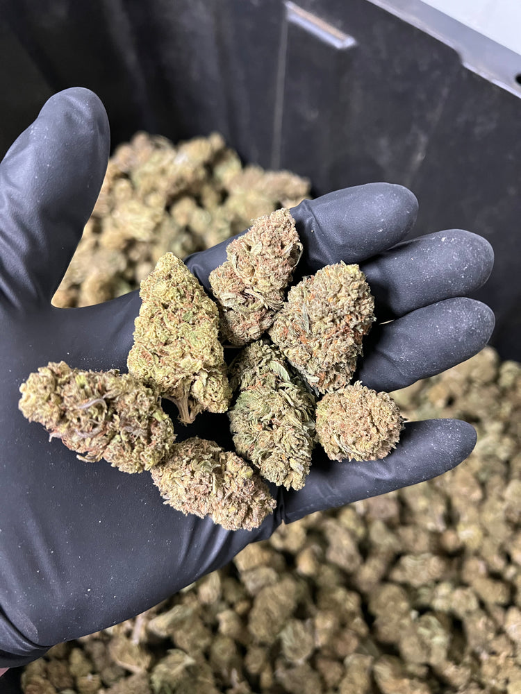 
                  
                    Load image into Gallery viewer, The Wife Hemp Flower
                  
                