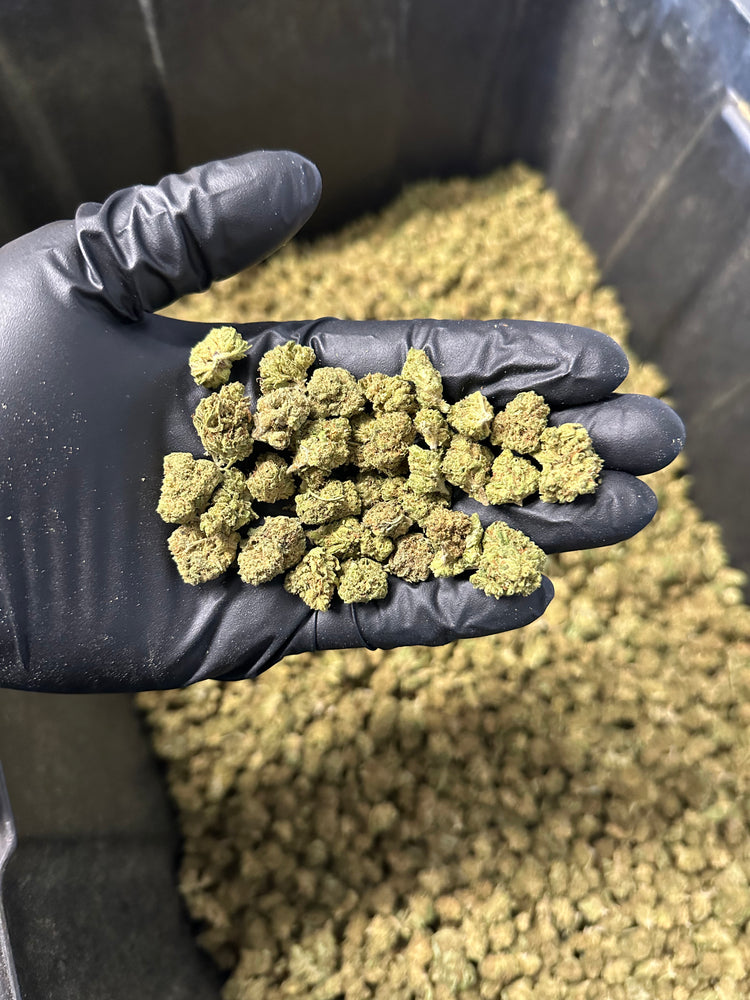 
                  
                    Load image into Gallery viewer, Strawberry Cough Hemp Flower Smalls
                  
                