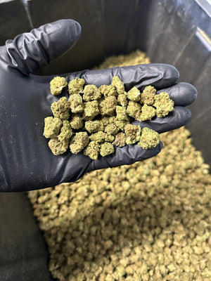 
                  
                    Load image into Gallery viewer, Strawberry Cough Hemp Flower Smalls
                  
                