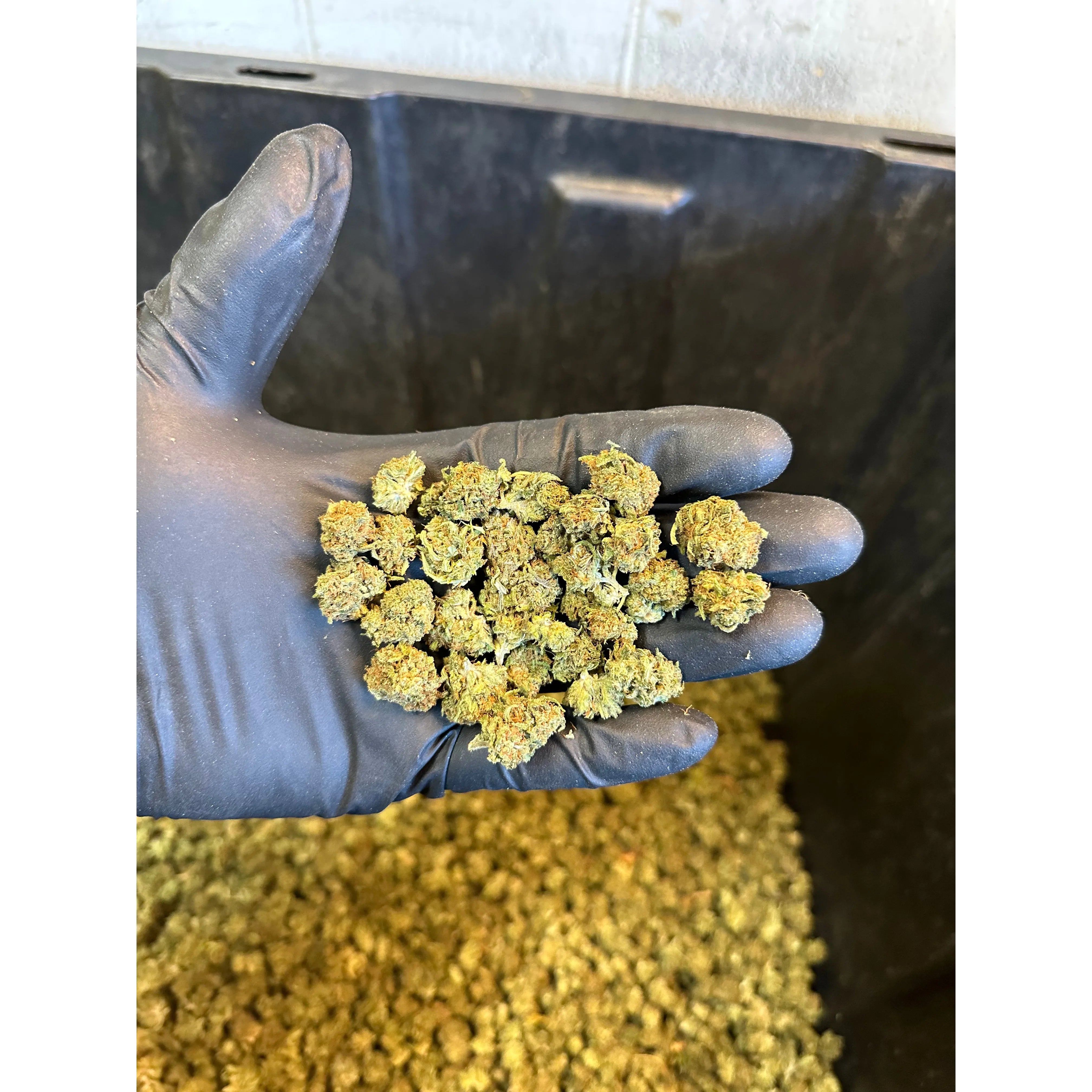 Sour Kandy Kush Hemp Flower Smalls