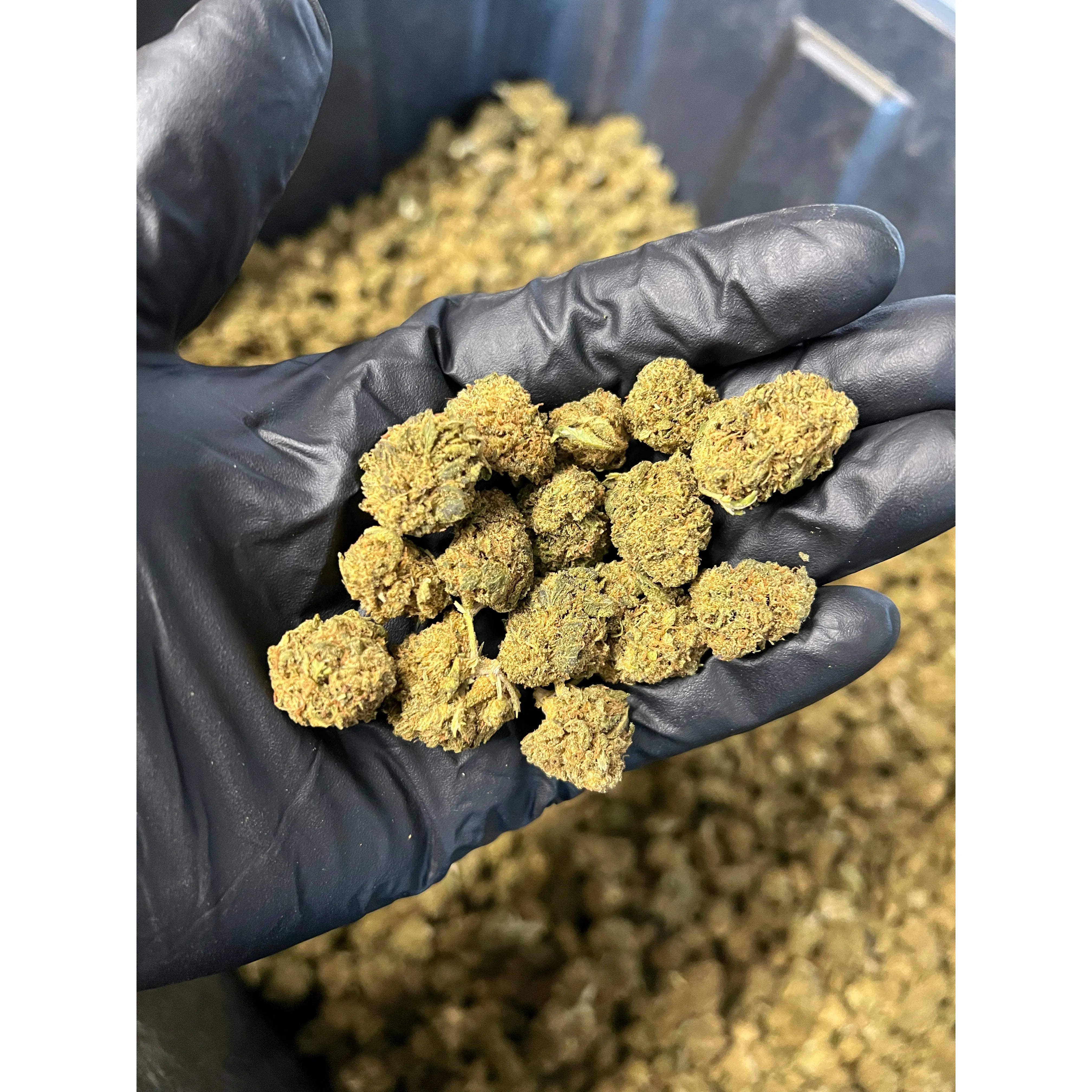 Sweet Diesel Hemp Flower Smalls