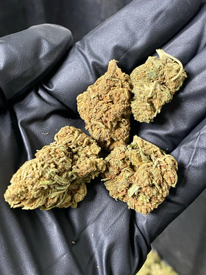 
                  
                    Load image into Gallery viewer, T2 &amp;quot;Trump&amp;quot; CBD Flower
                  
                