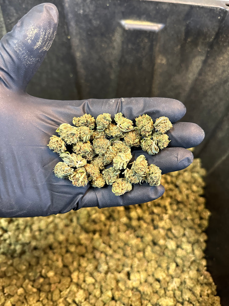 
                  
                    Load image into Gallery viewer, Lemon Octane Hemp Flower Smalls
                  
                