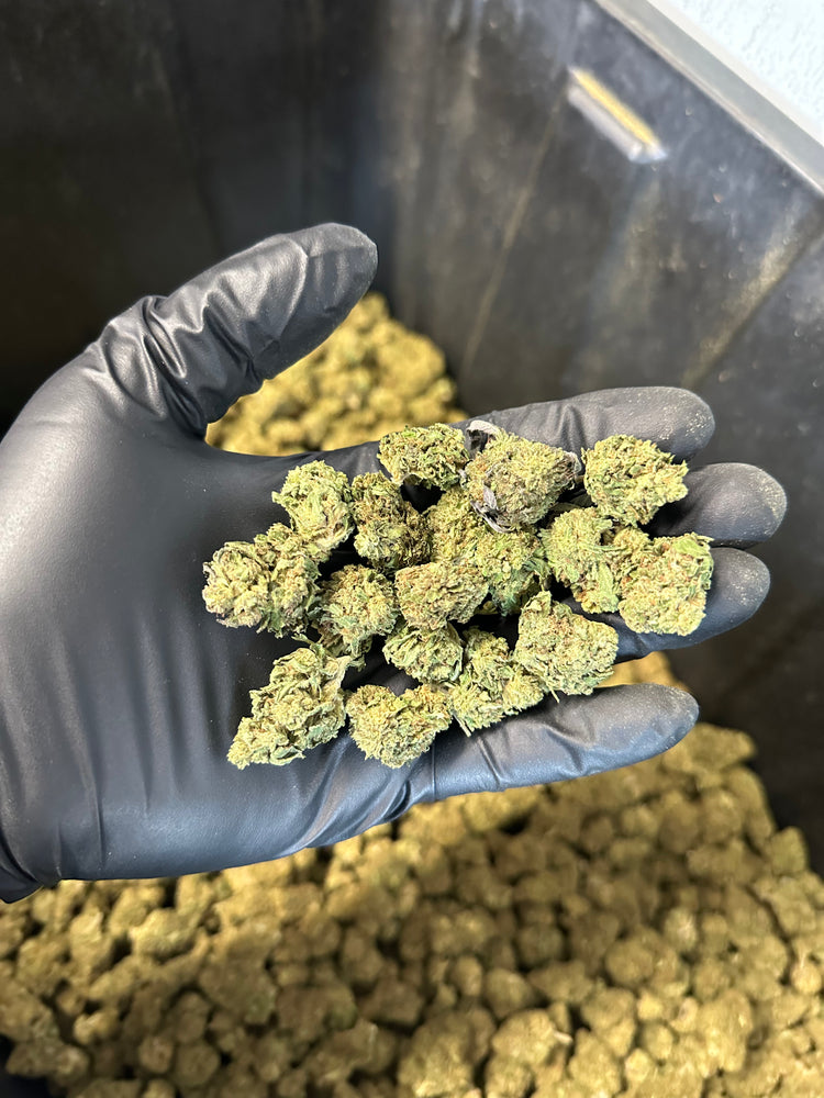 
                  
                    Load image into Gallery viewer, Casino Cookies Hemp Flower Smalls
                  
                