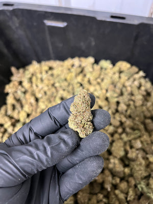 
                  
                    Load image into Gallery viewer, The Wife Hemp Flower
                  
                