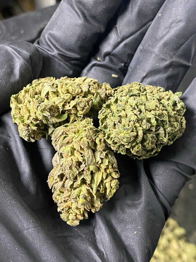 
                  
                    Load image into Gallery viewer, Frosted Lime CBD Hemp Flower
                  
                