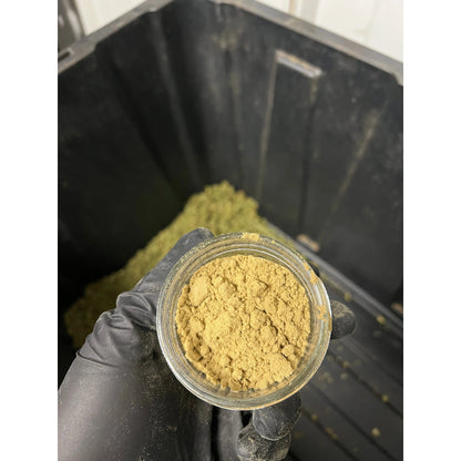 Snow White CBG Keif